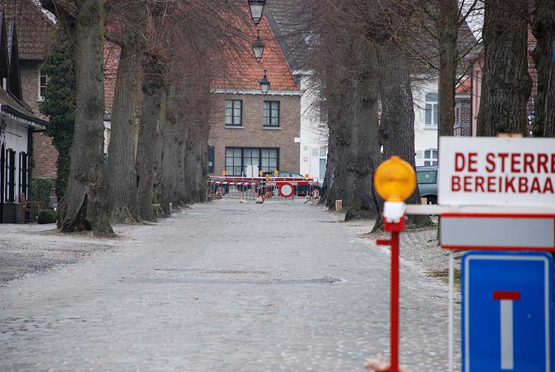 GroenRood wil bomen Ooidonkdreef redden