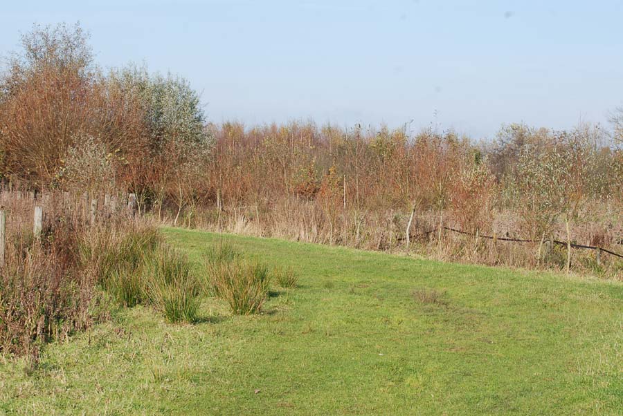 Stadsbos Deinze wandeling