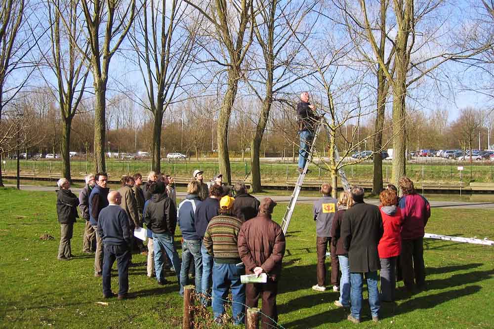 Zondag 26 februari organiseren Milieufront Omer Wattez en VELT-leieland een snoeiles in het St-Martinuspark