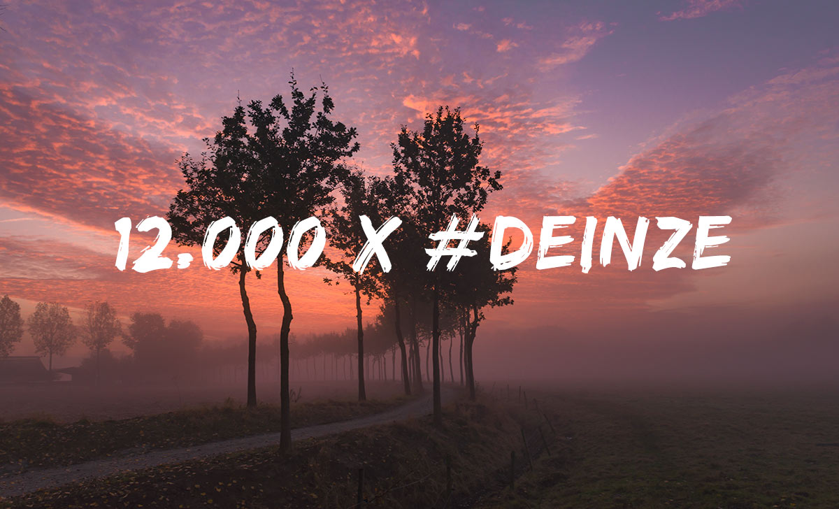 12.000ste #deinze op instagram