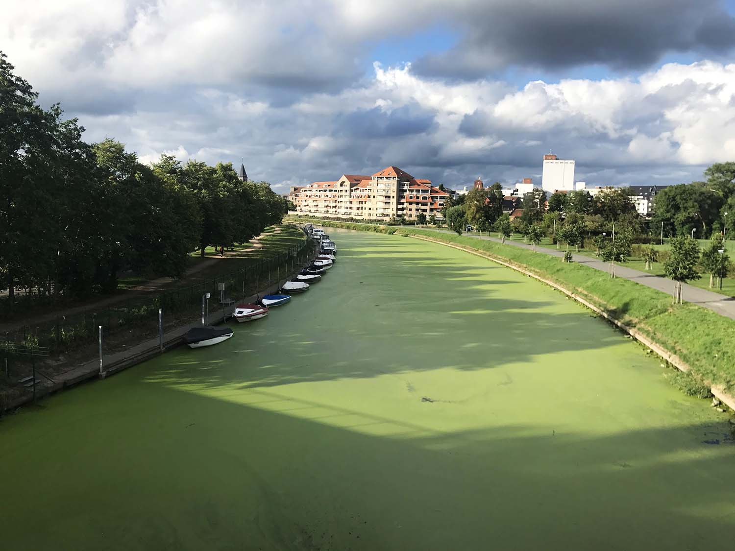 Onze golden river kleurt groen