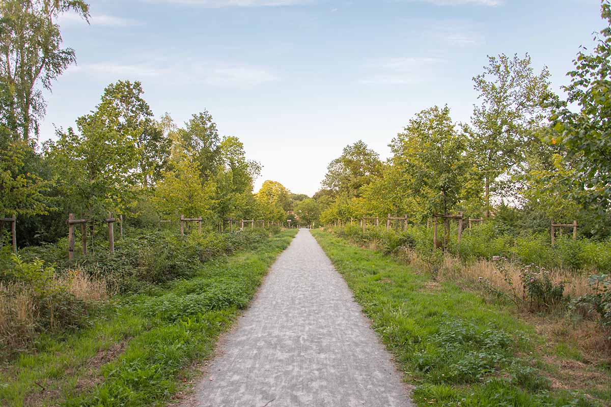 Extra uitdaging voor de 11km van Deinze