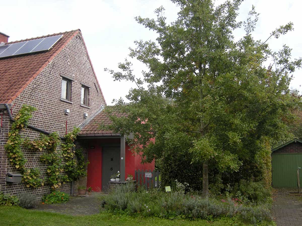 Behaag de Leiestreek en plant een boom!