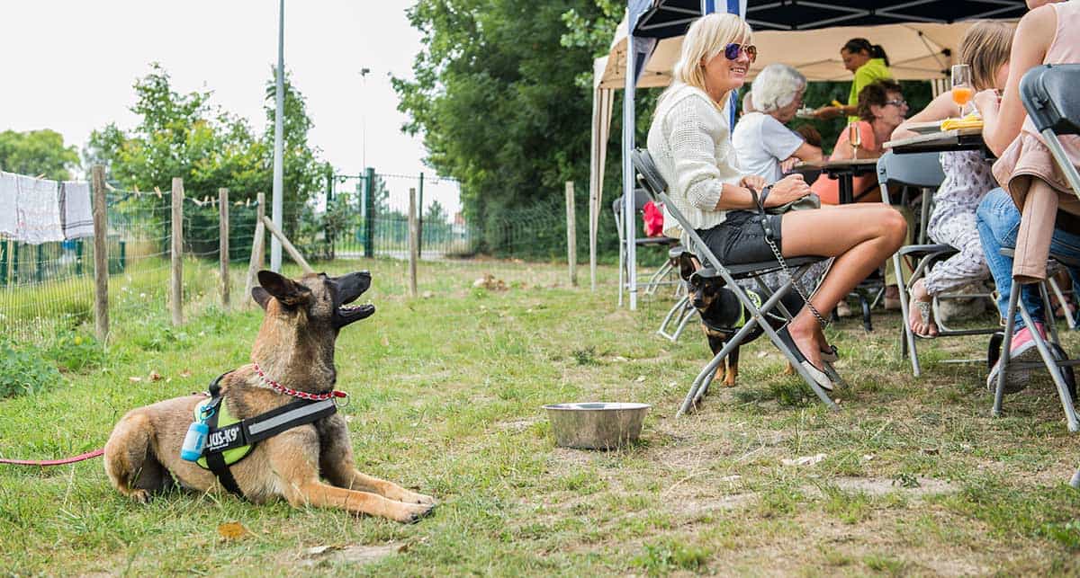 DuitsenHerder_DeinzeOnline_Nieuws_Deinze