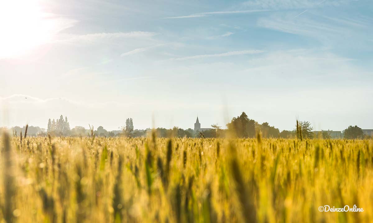 Inwoners van Vinkt en Poeke wensen geen mestverwerking
