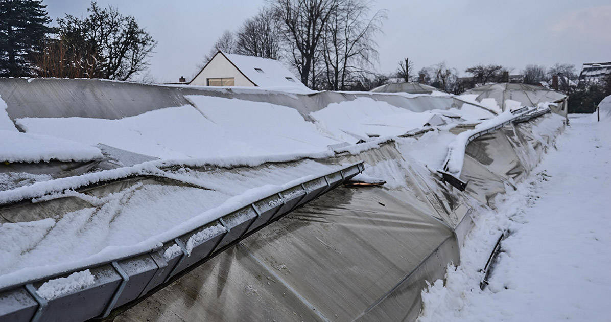 Bioboerderij De Wassende Maan start crowdfunding na zware sneeuwval