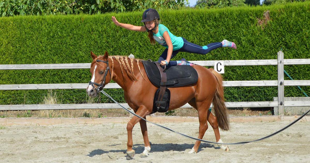 Nieuwe lessen ponyrijden grondwerk & voltige in september.