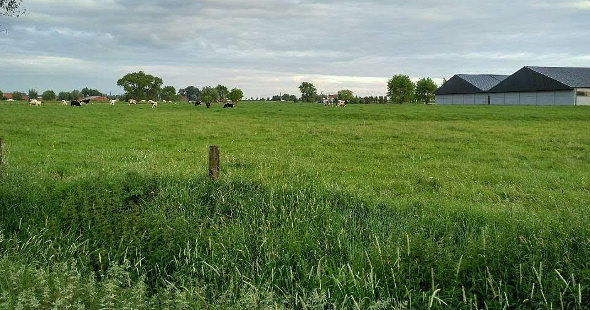 Nevele en Deinze betonneren jaarlijks de Brielmeersen