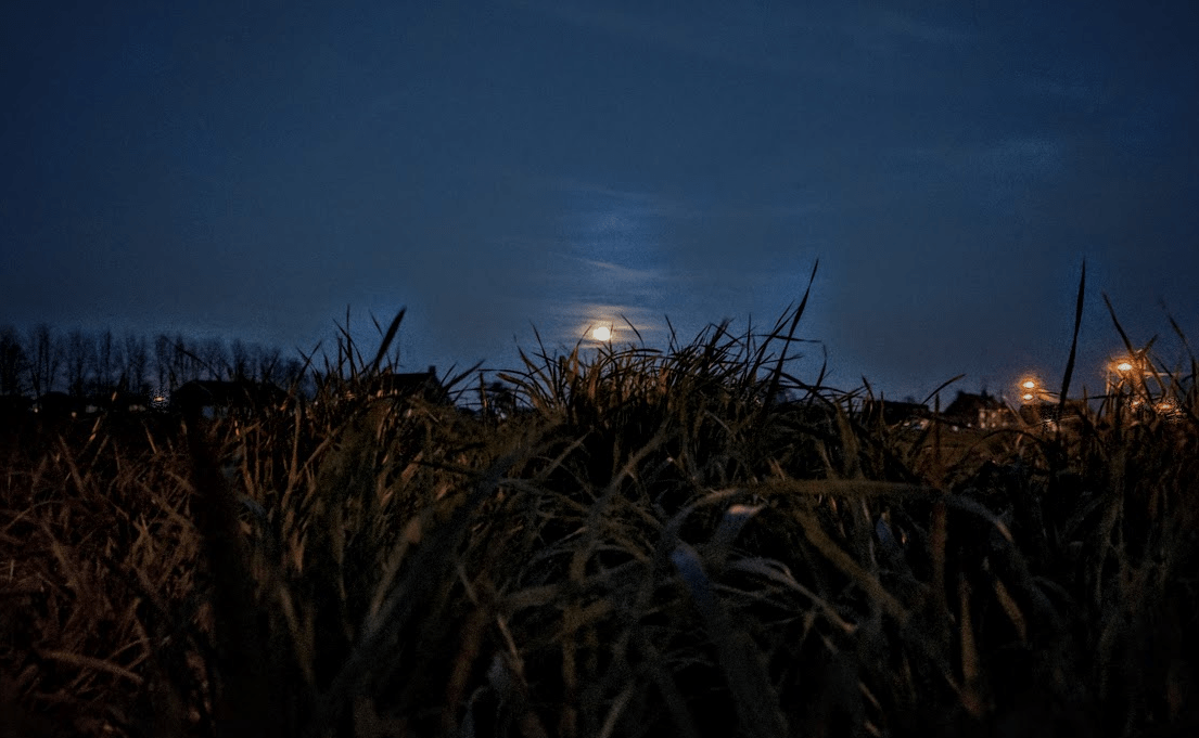 Dit weekend, Nacht van de Duisternis﻿