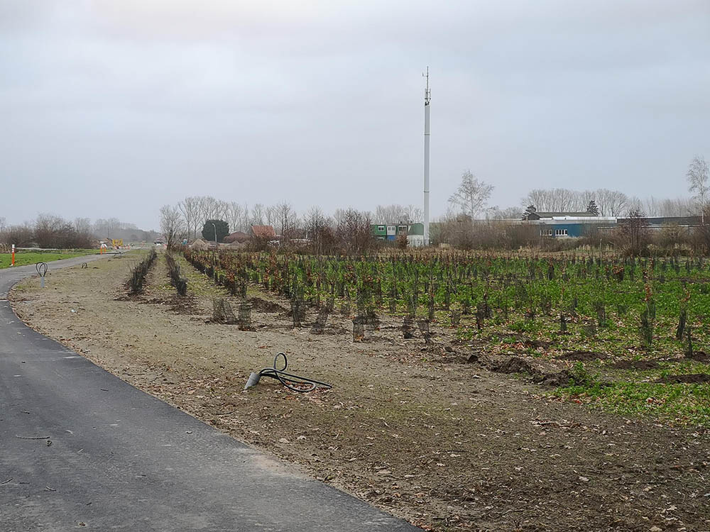 Aanplant bos in De Prijkels gestart