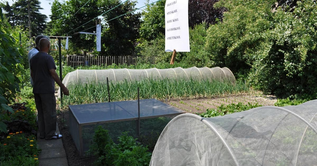 Nieuwjaarsevent: Landbouw en natuur hand in hand? Ontdek het tijdens deze boeiende lezing!