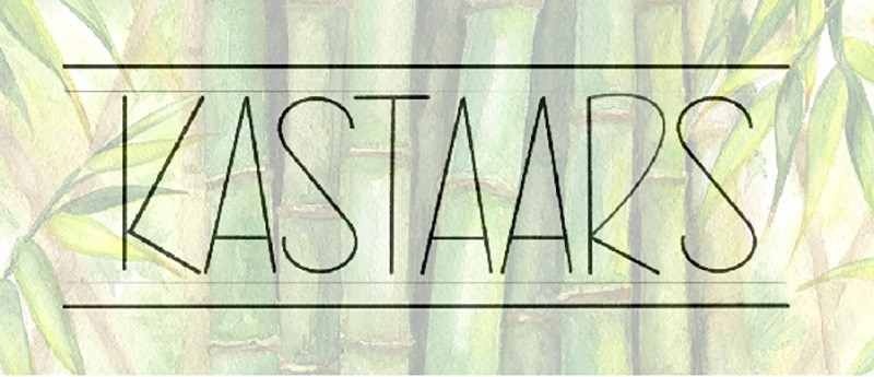 Feest bij Kastaars!