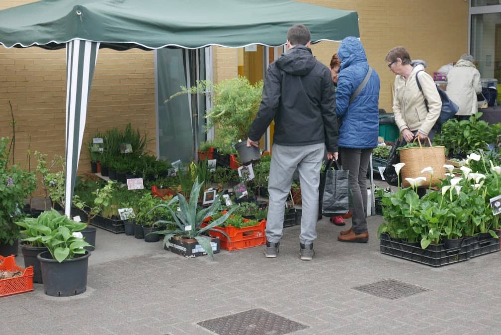 Planten zoeken een nieuwe tuin …