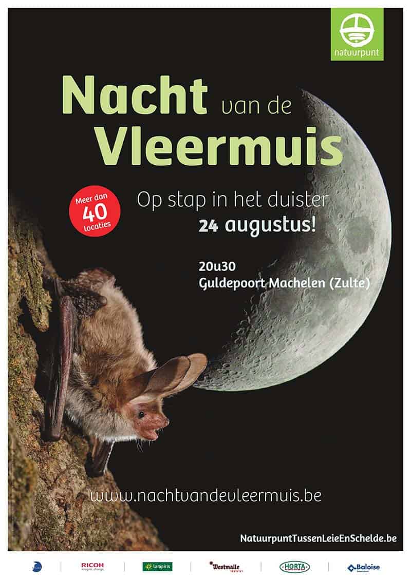 Nacht van de vleermuis