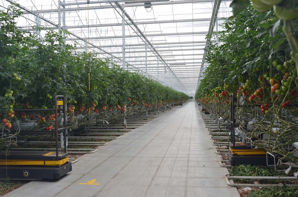 Dag van de landbouw, zondag 15 september