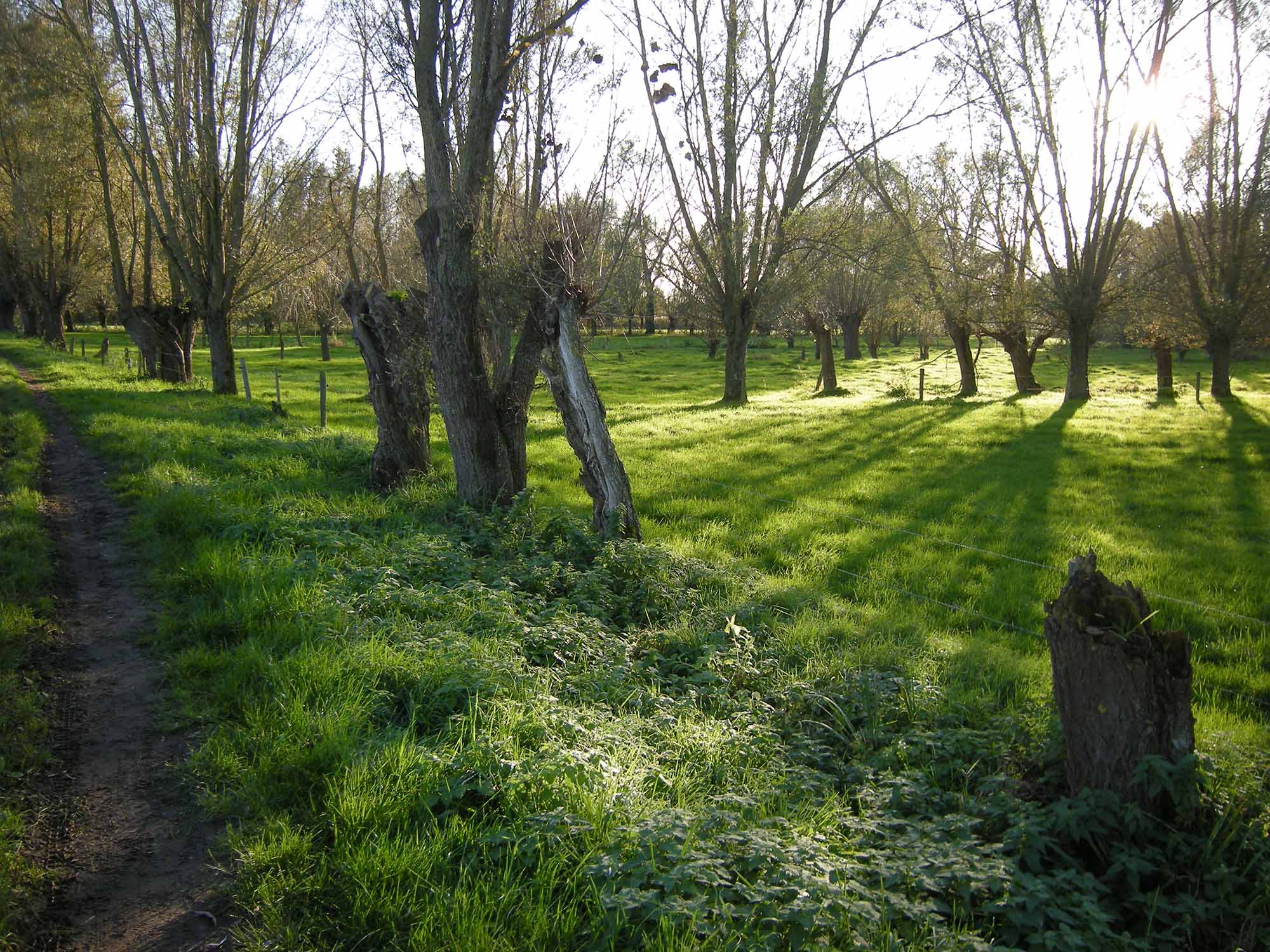 Dag van de natuur in Deinze