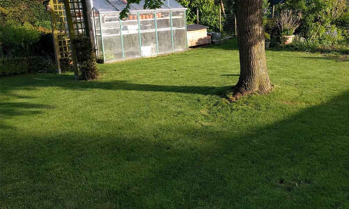 Lezing “De klimaattuin: niet te warm, te droog of te nat…”