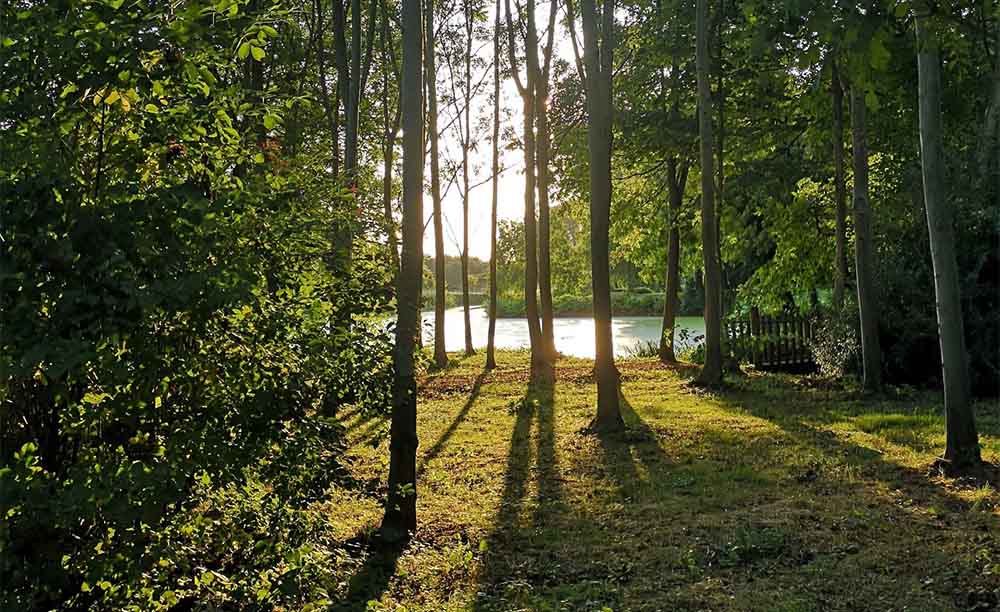 De Brielmeersen op woensdag 6 mei terug open.