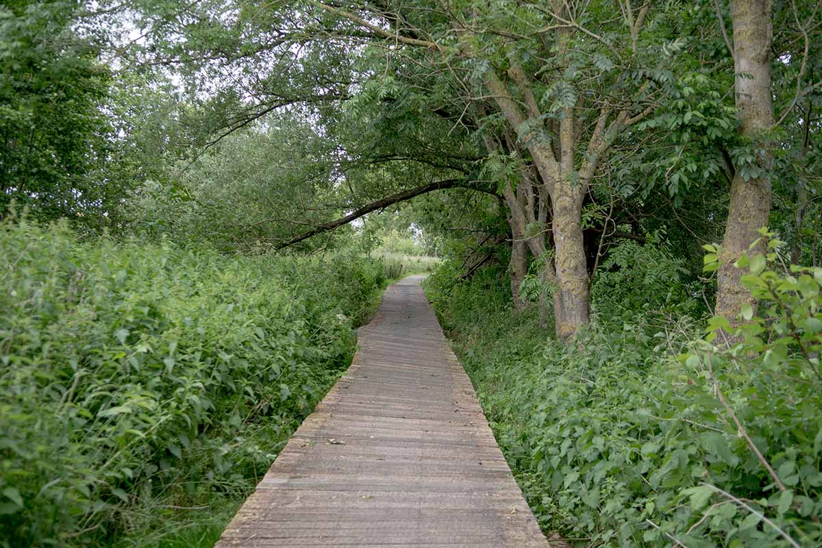 Geniet van poëzie tijdens de wandeling Poëzie in ‘t Park