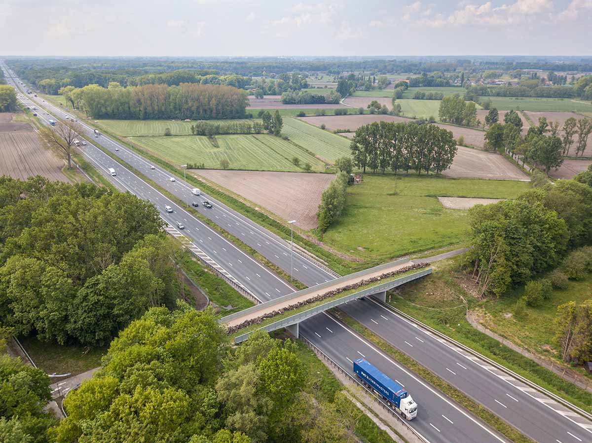 Eerste ecoveloduct in Oost-Vlaanderen geopend
