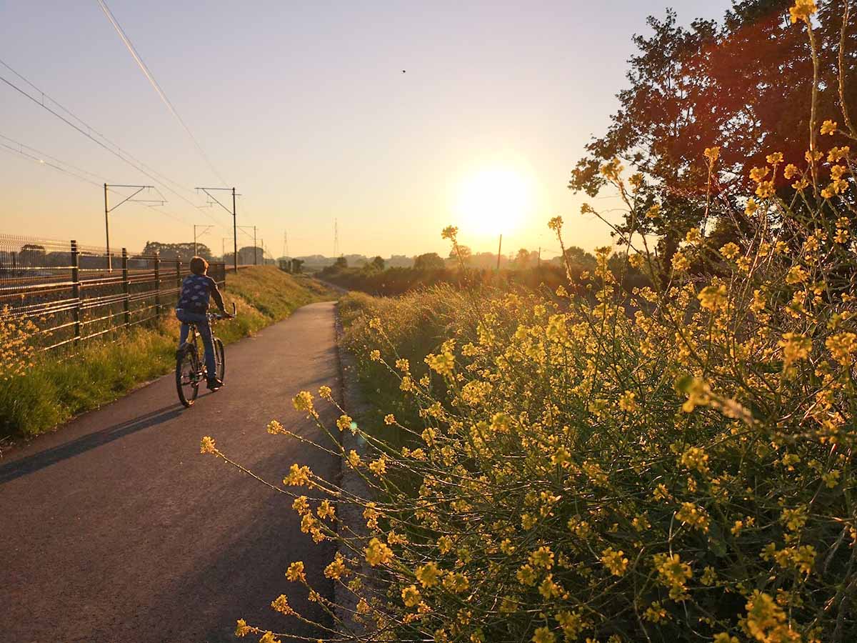Fietssnelweg F7 op Oostvlaams grondgebied wordt helemaal afgewerkt.