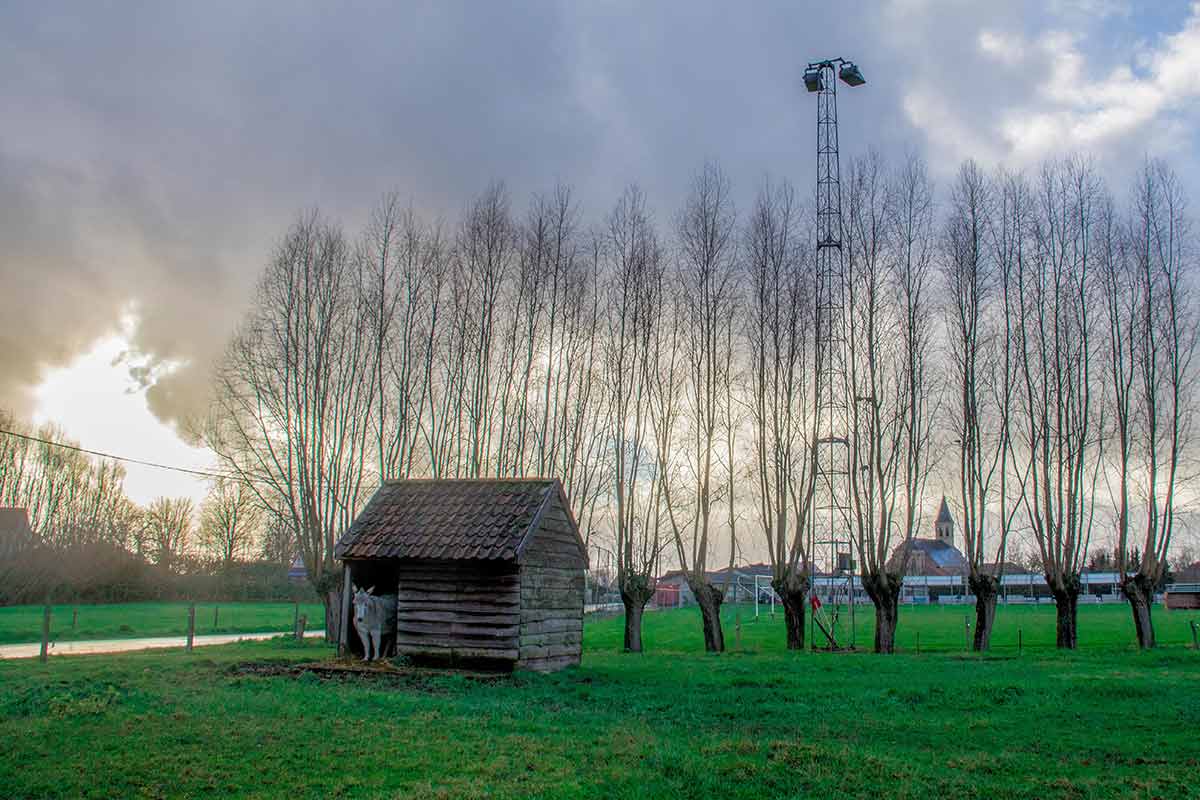 Stadsdichter brengt postkaart uit over deelgemeente Poesele