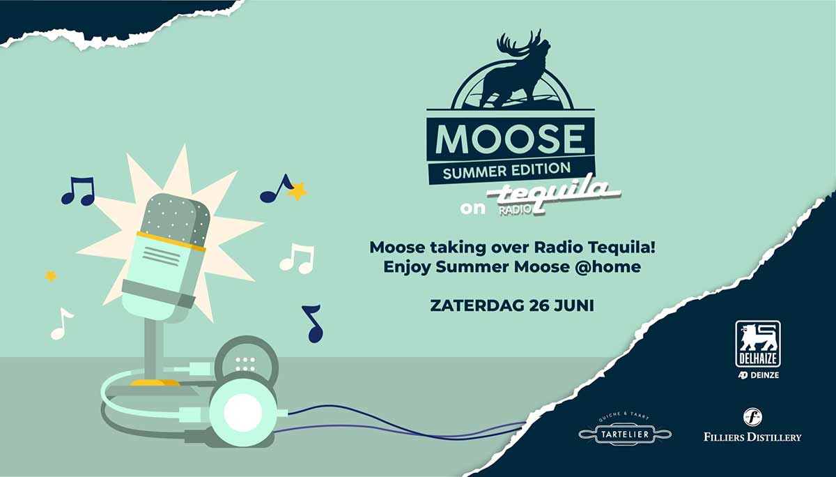 Moose breekt uit zijn stal