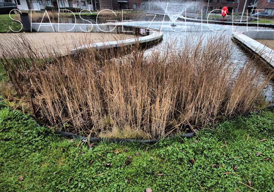Stadsdichter vereeuwigt Donzapark in postkaart