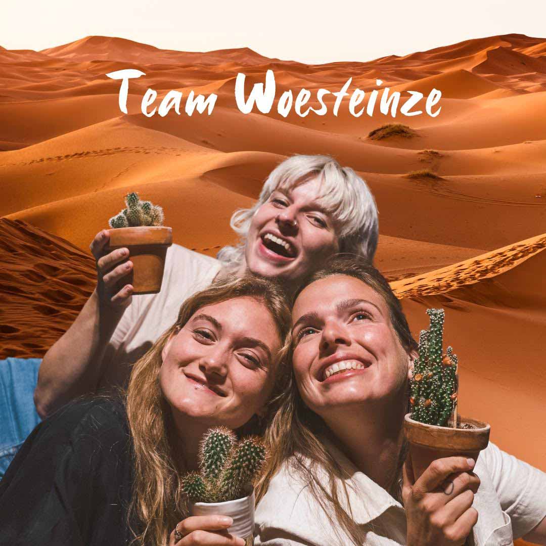 WOESTEINZE zondag 9 oktober Leietheater Deinze!
