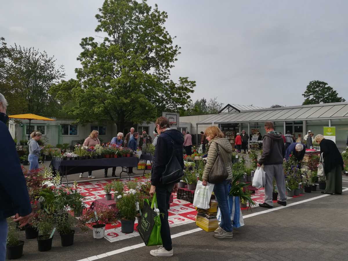 Plantenbeurs in Deinze blijft het goed doen!