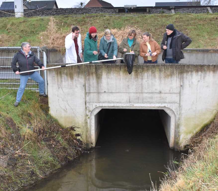 Groen & Vooruit vraagt extra onderzoek naar de waterkwaliteit van de Kattebeek